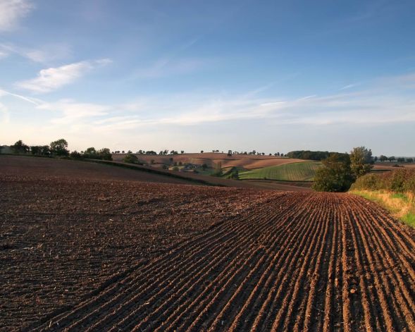 Countryside-fields-Nottinghamshire